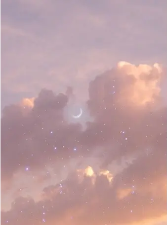 soi1394의 혼성그룹(커플있음)