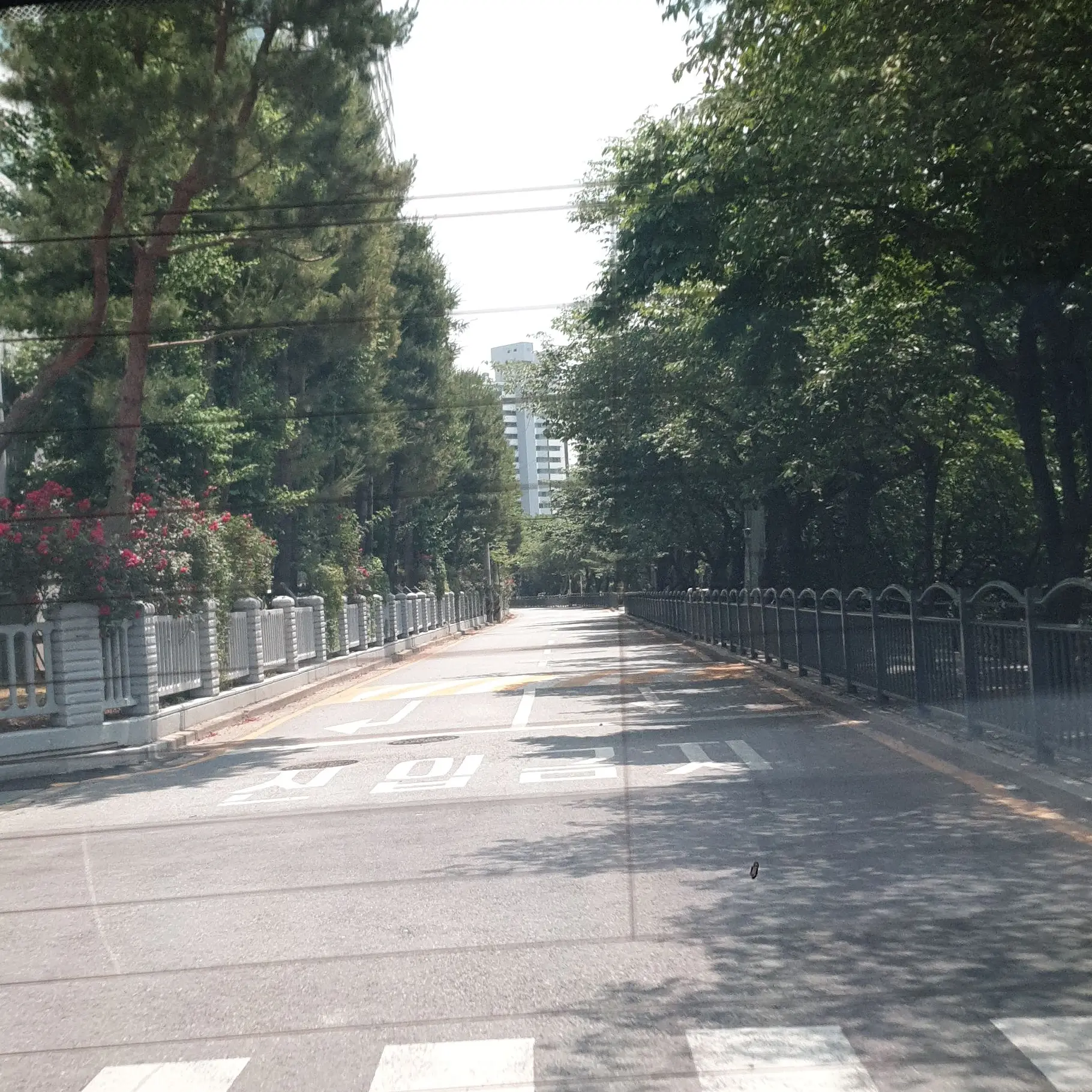 sss_amld의 장 원찬