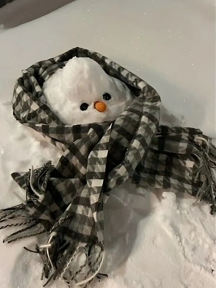 JaggedArrow5960의 나랑 눈사람 만들지 않을래?