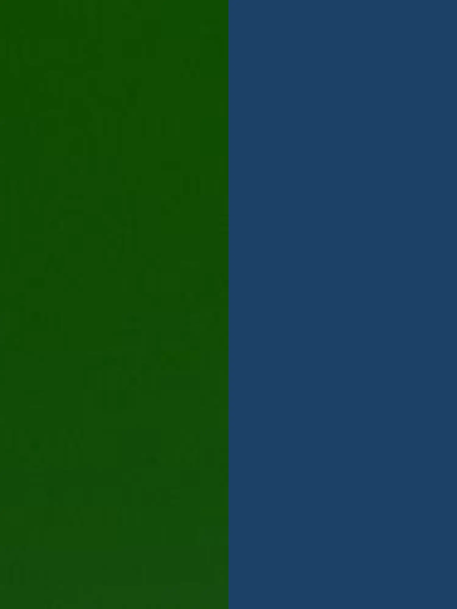 roki2222222222의 3人の距離