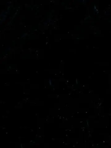 EnTp_0816의 " 경이로운, 카운터다. "