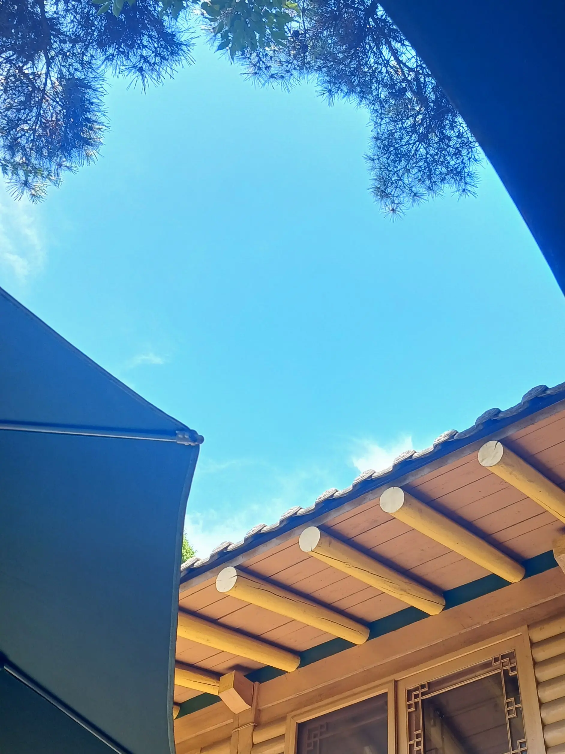 WetSun0370의 토키토 무이치로