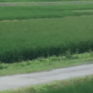 Jyunn_matumoto의 お隣さん。うるさいです。