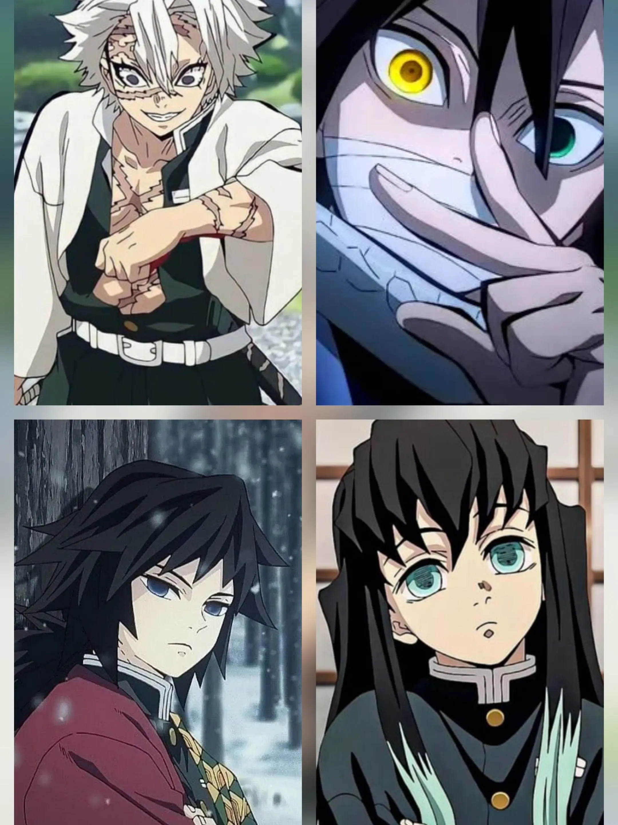 ivecatLIZ의 교사오빠들.상세읽어주세요