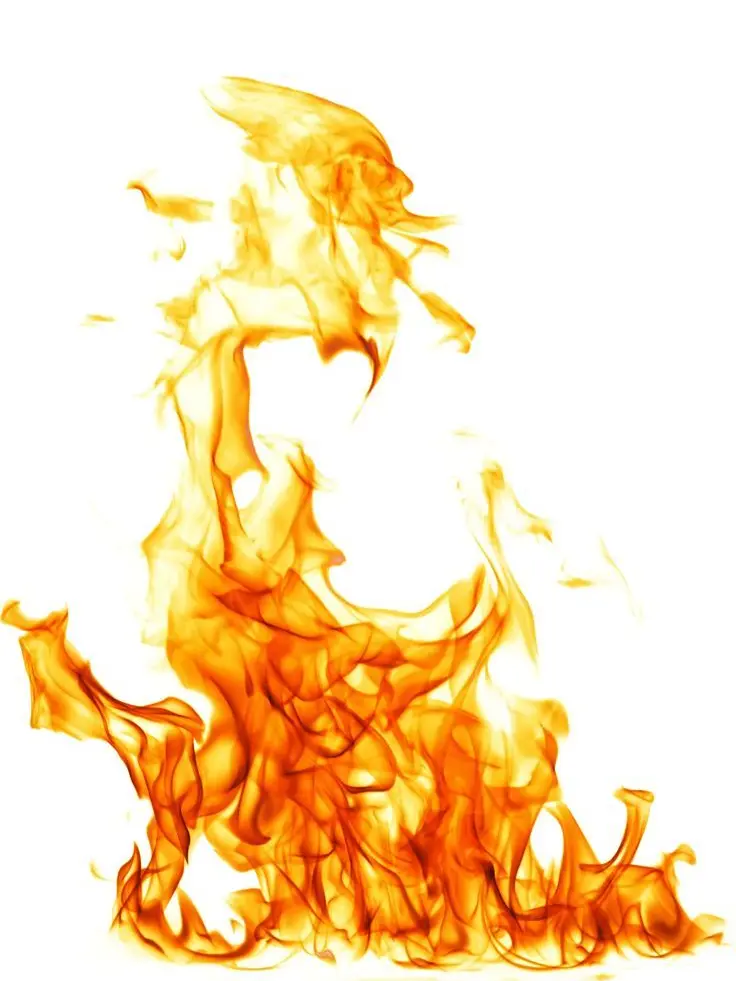 meme1111의 카나분