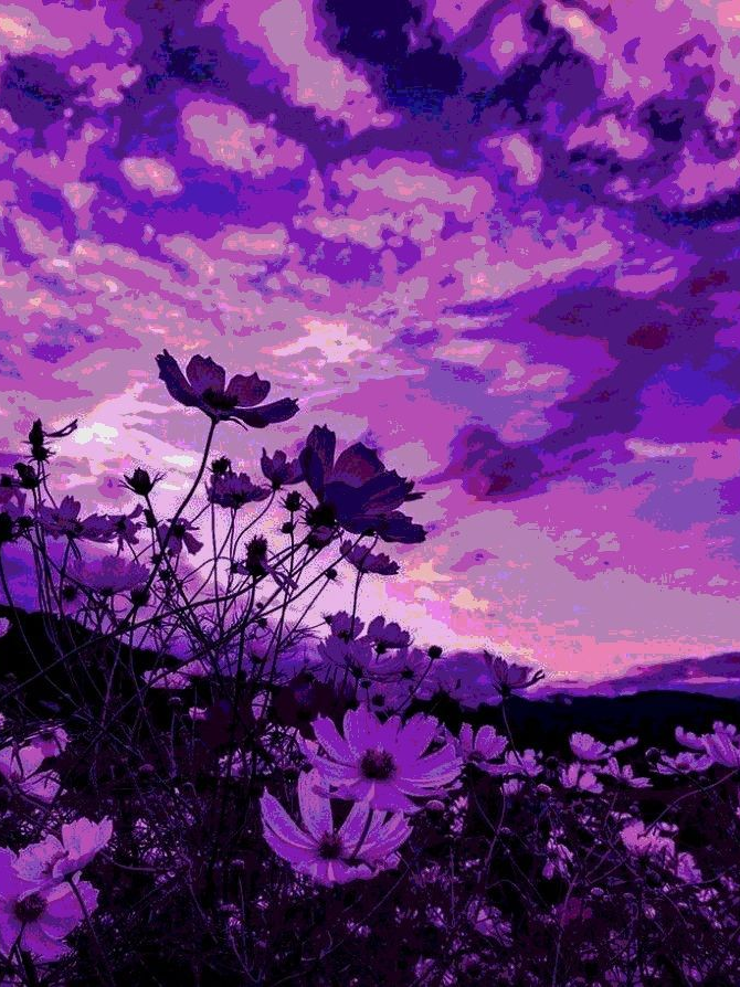 花開花落 대표 이미지