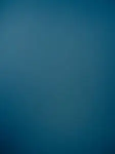 paran_droid의 토키토 남매