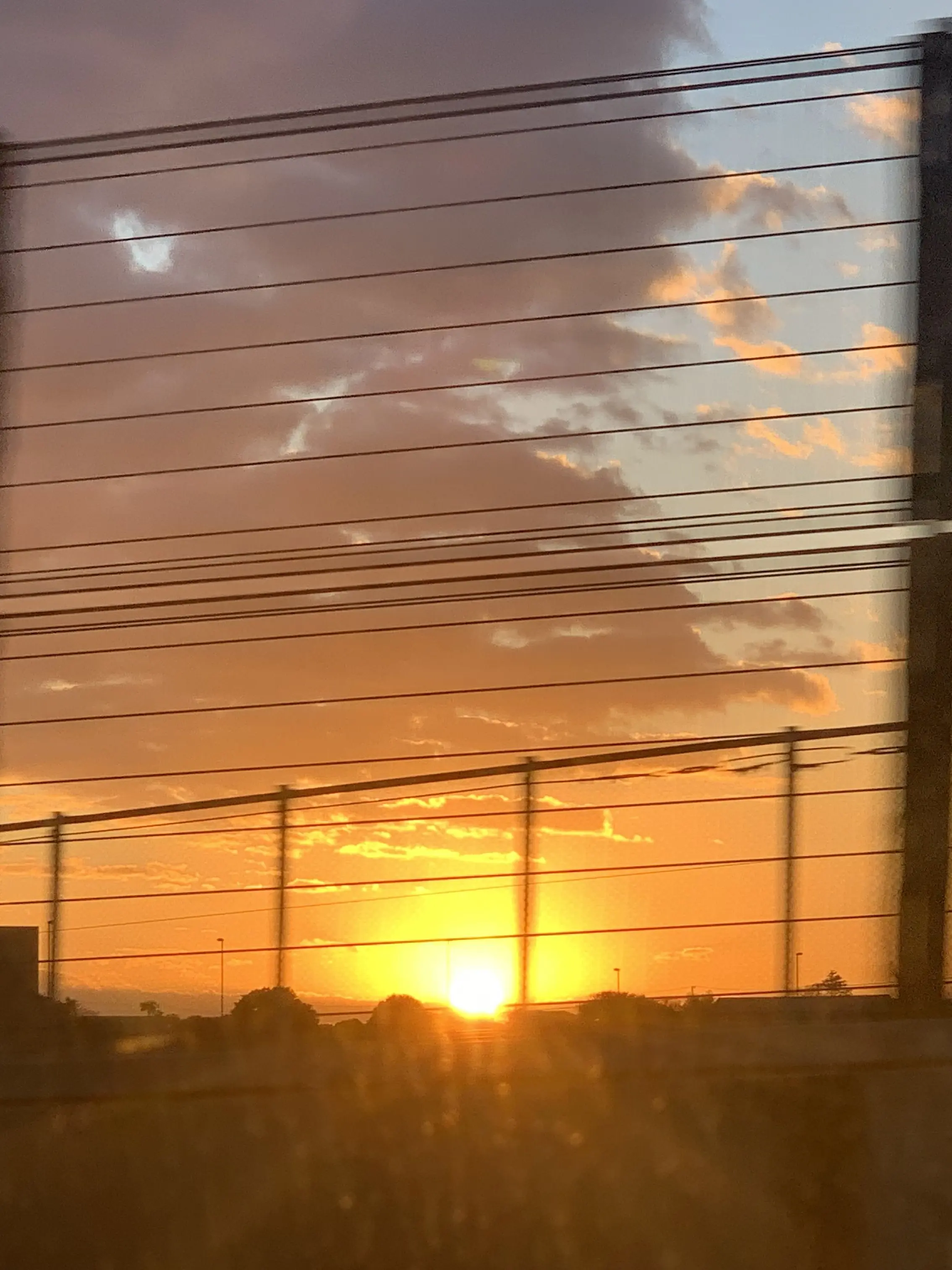 SturdyLemur5630의 嫌になった貴方は…