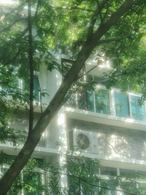 Lily_0314의 。, 방과후 레시피 ！、。