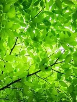 CostlyShirt1409의 一人