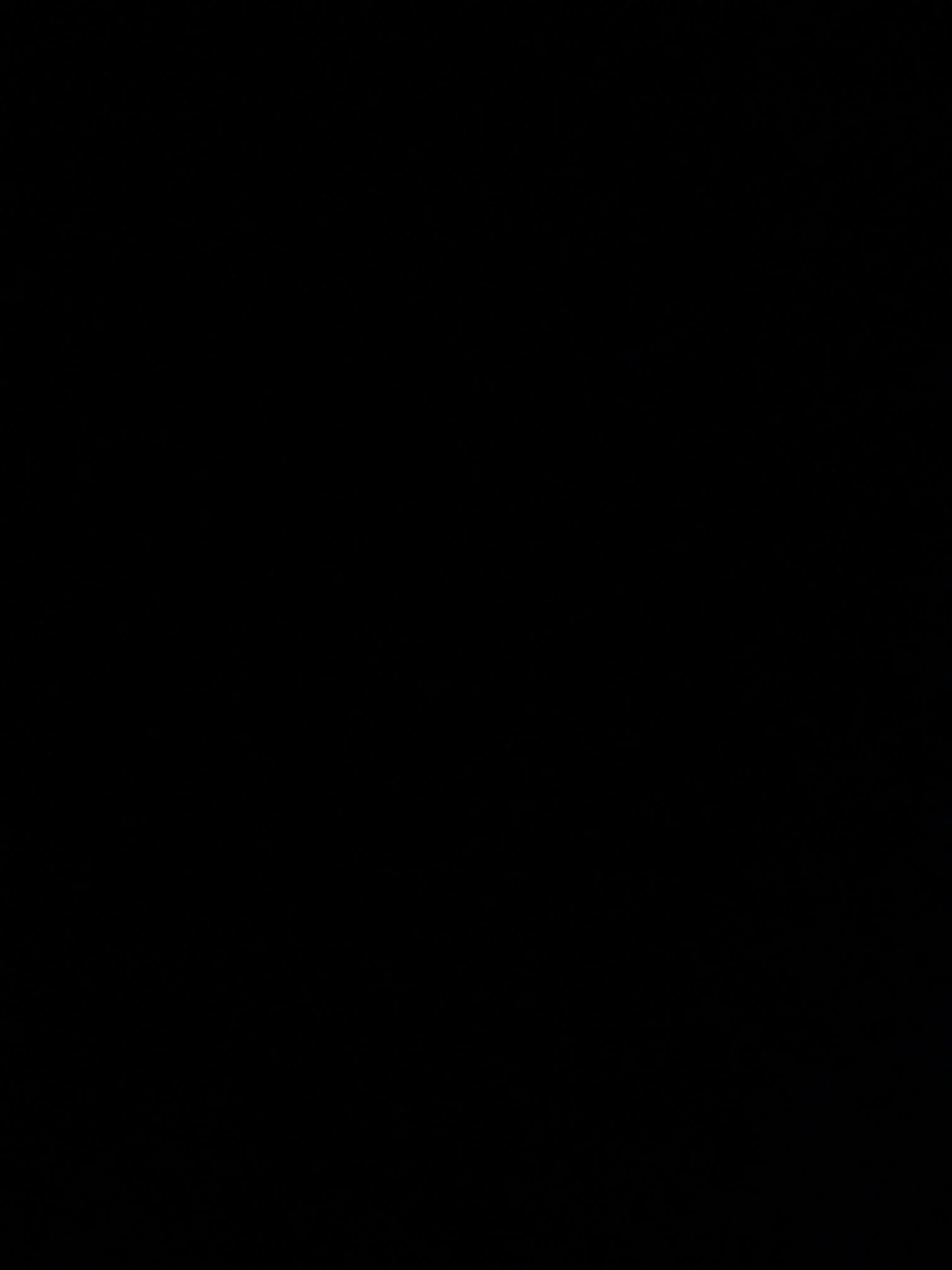 GiddyXerus4682의 스키즈와 체육관