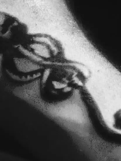 Dumbfish의 Draco and the Death Eater