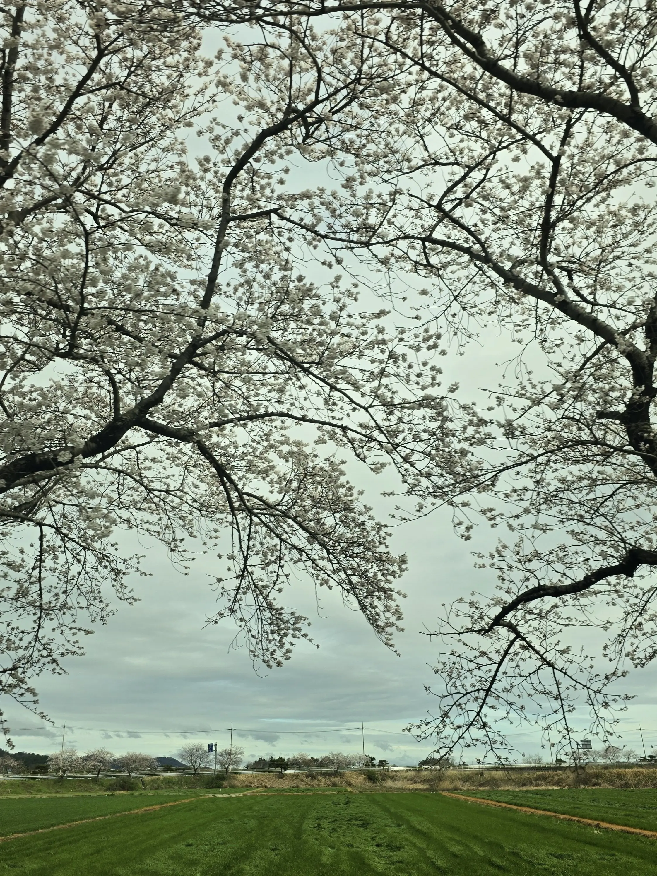 Seul-ah02의 나에 대해 잊지 말아 주세요.