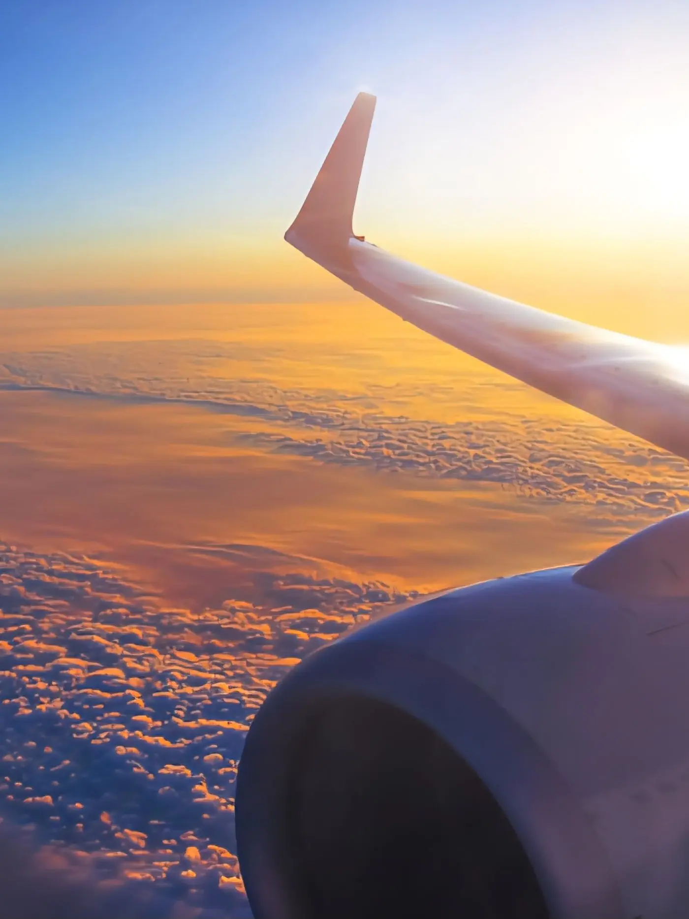 CoralRelax4421의 카야노 미코토