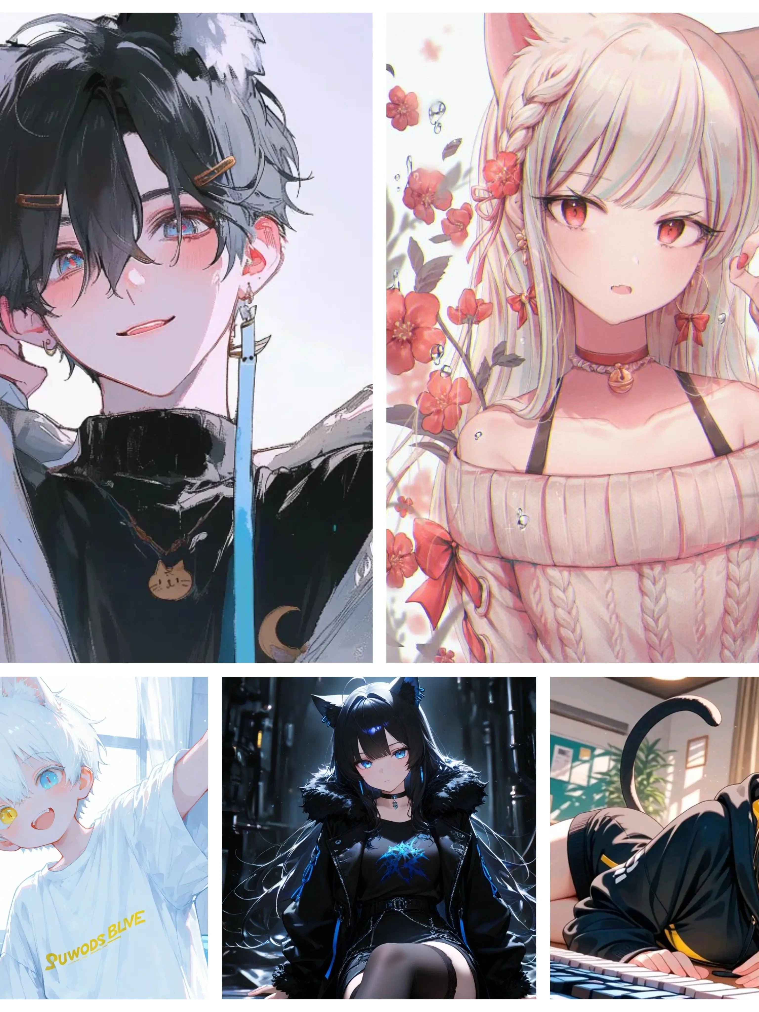 yuicute의 고양이 세계관으로!?