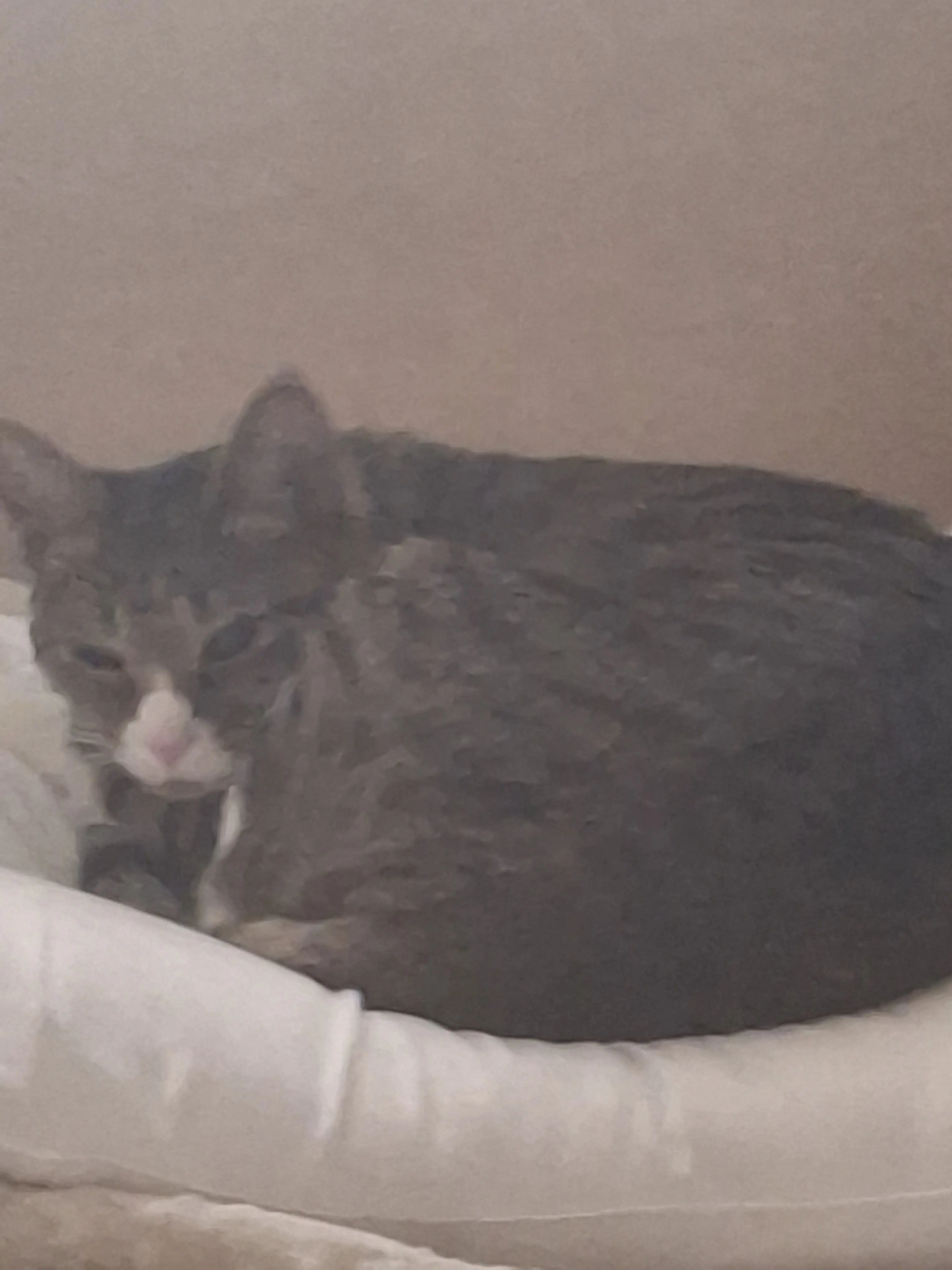 SuSuGgang0109의 말짜