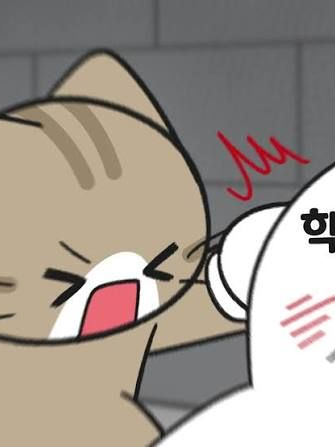 비마이펫 멍냥기숙사 대표 이미지