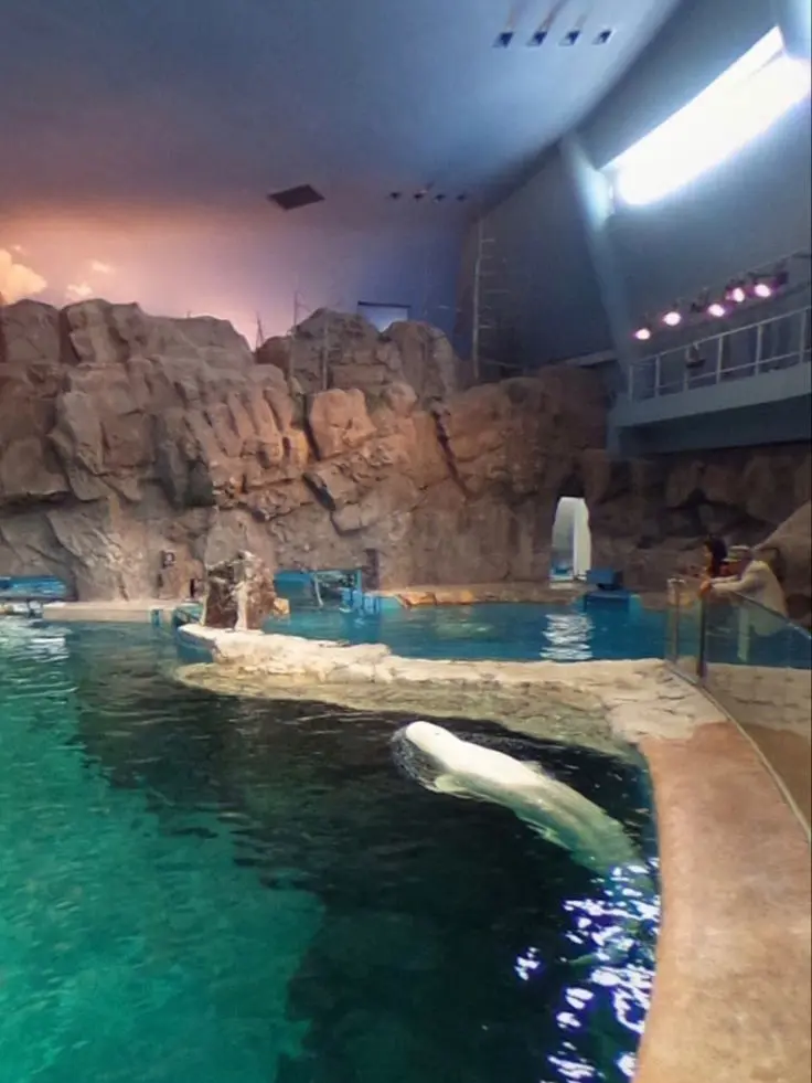 Pooyangirl의 Captured mermaid