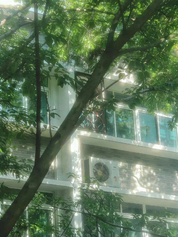 MeekStew7380의 한여름의 커튼콜.