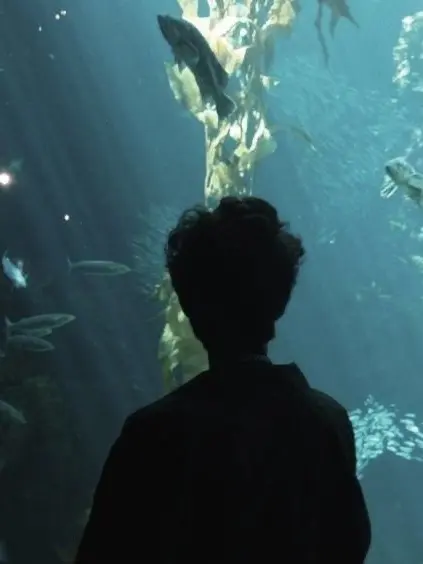 chvrrypie의 Percy Jackson