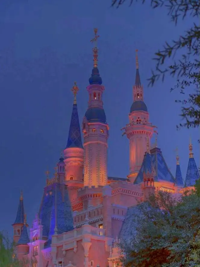 paradise-5의 •.°파이브°.• <하나하키병>