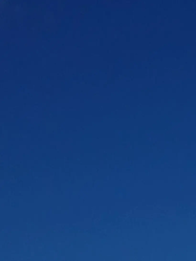 swemiri의 크리스마스