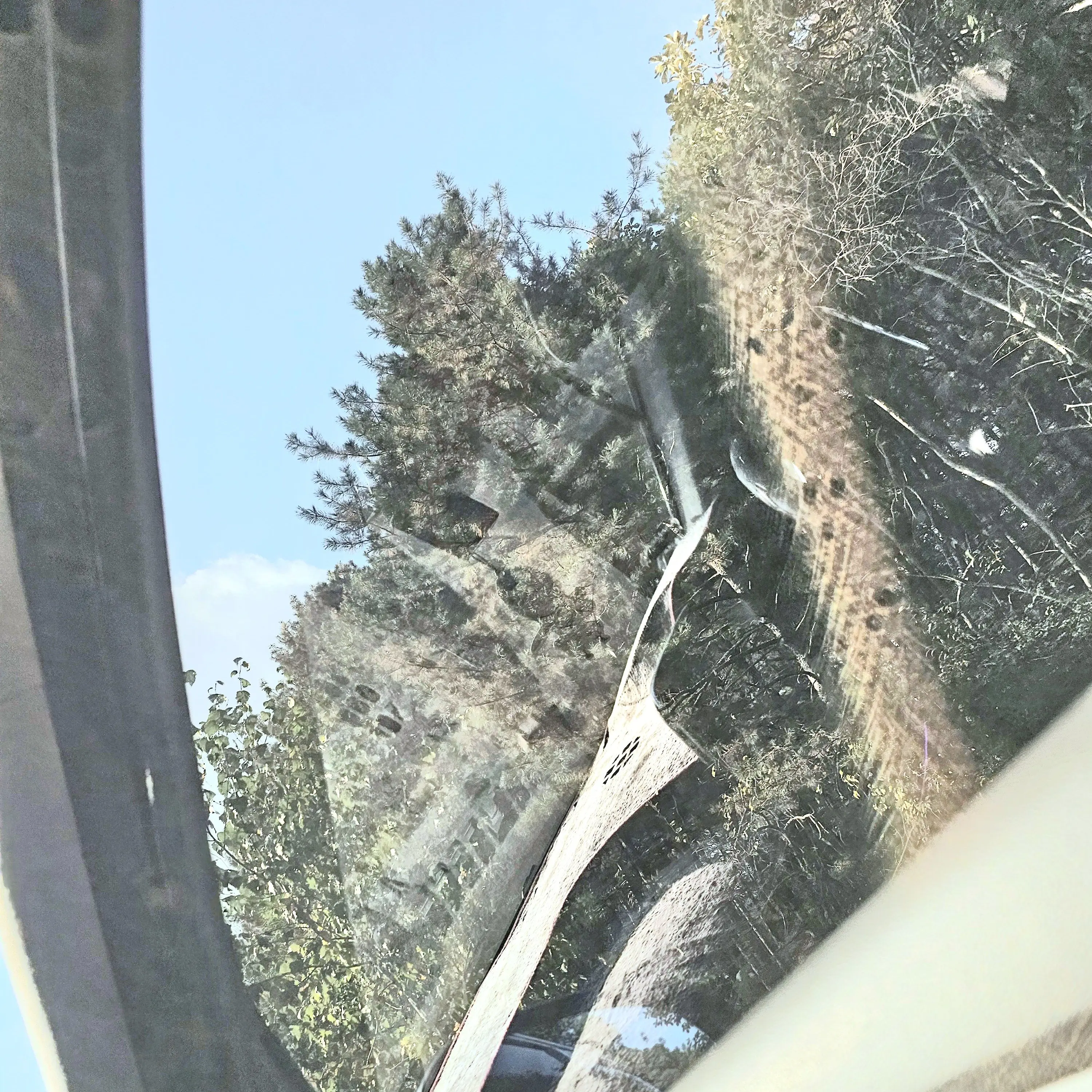 zeta_Seoyoung의 끈적한 손 [ 고고프렌즈 ]