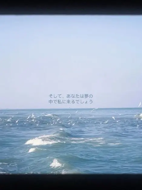 PluckySon8362의 おつかれ、Summer