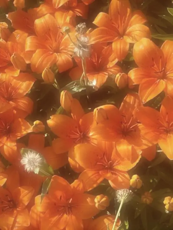 Mang_mango의 1214🌧