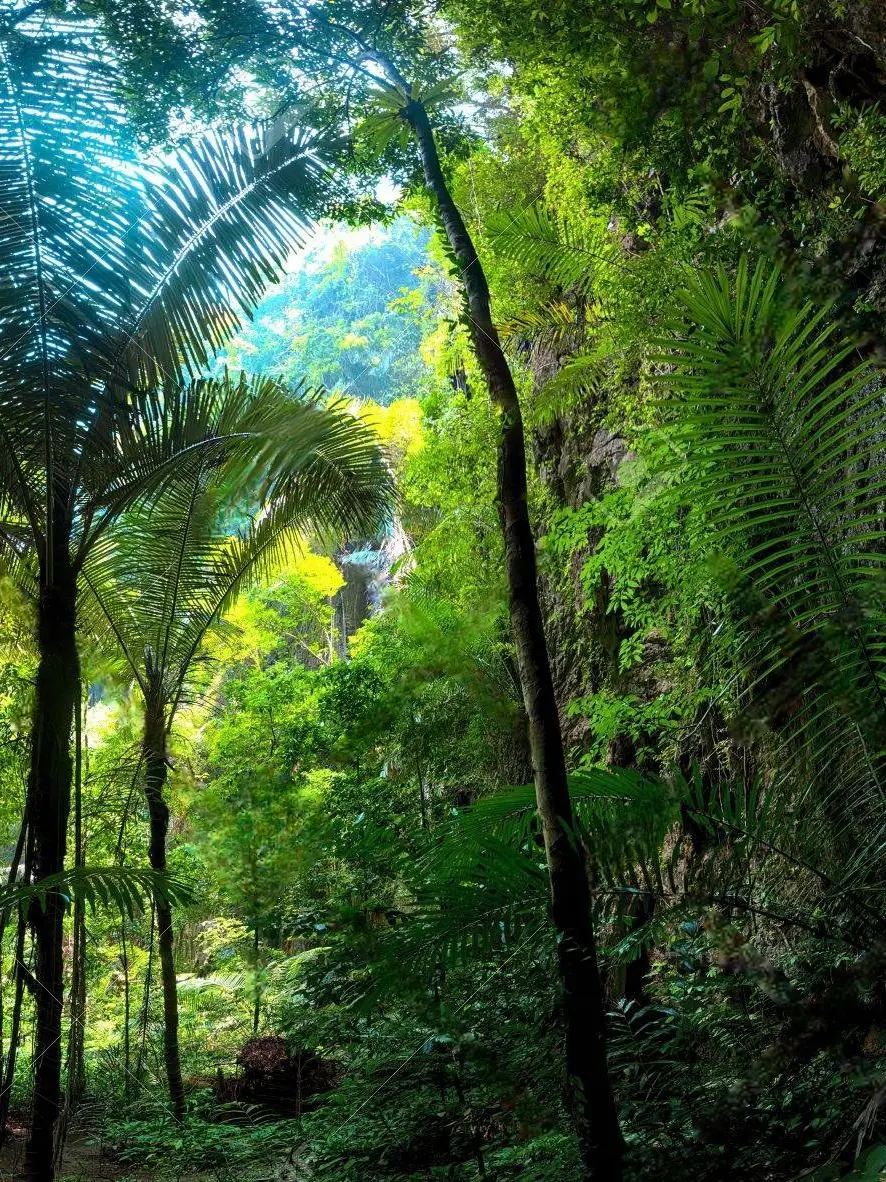 Yuronere2468의 🌴판타지 세계🌿