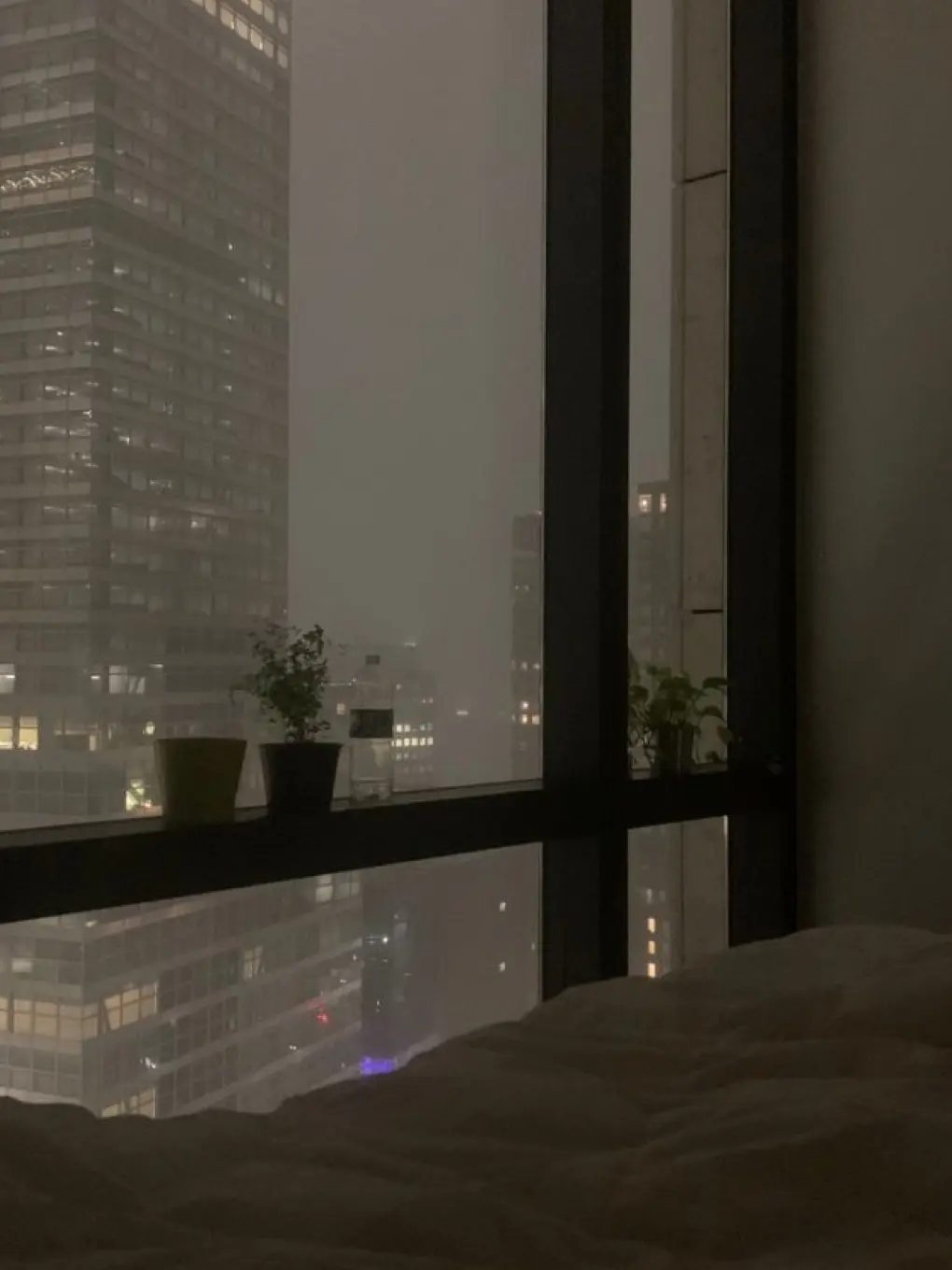 nitsukuTBTB의 🌵🐰🌶💰☕️🍞