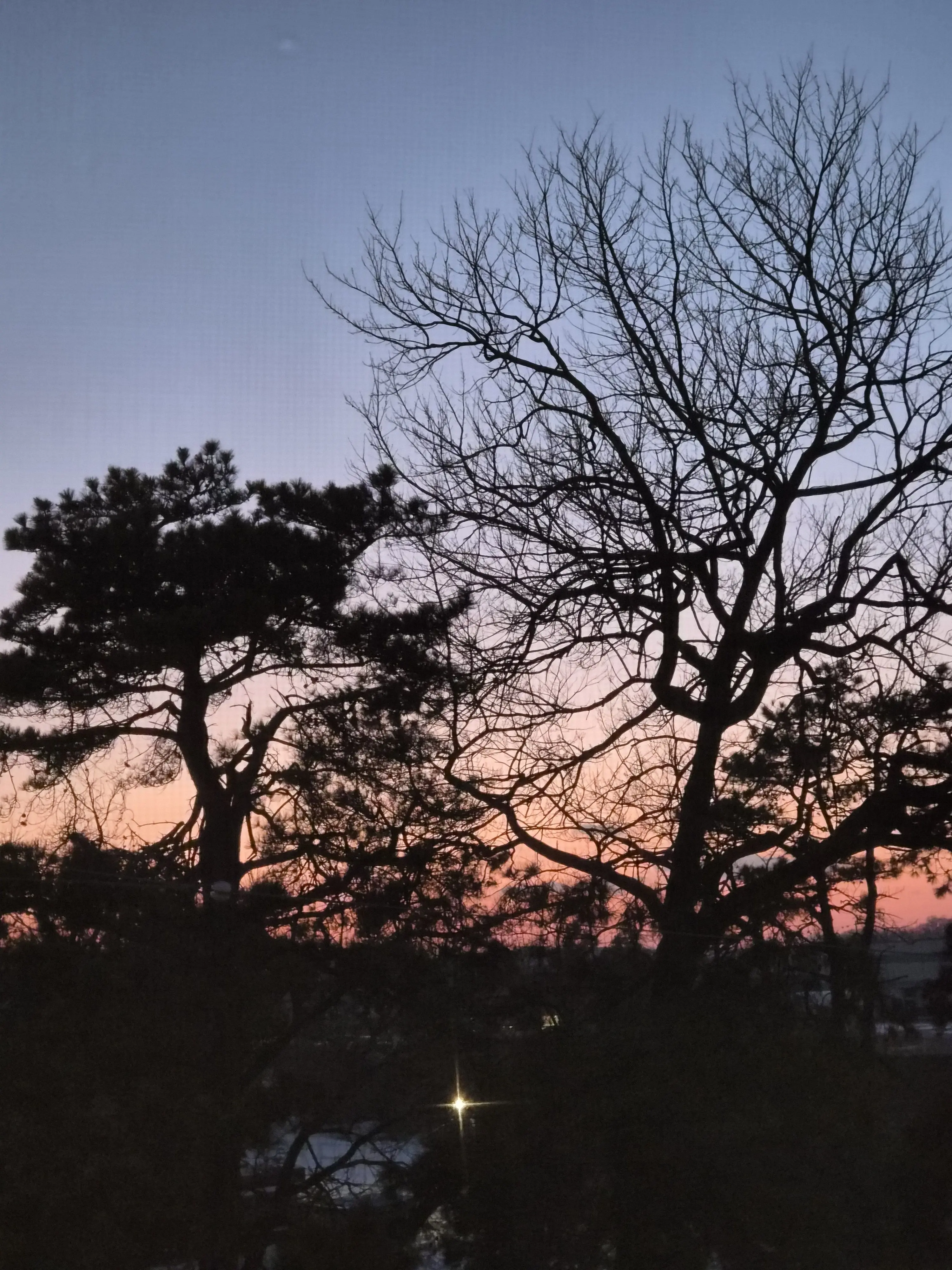 cloud_14의 [사건 파일: 성화경찰서의 괴담]