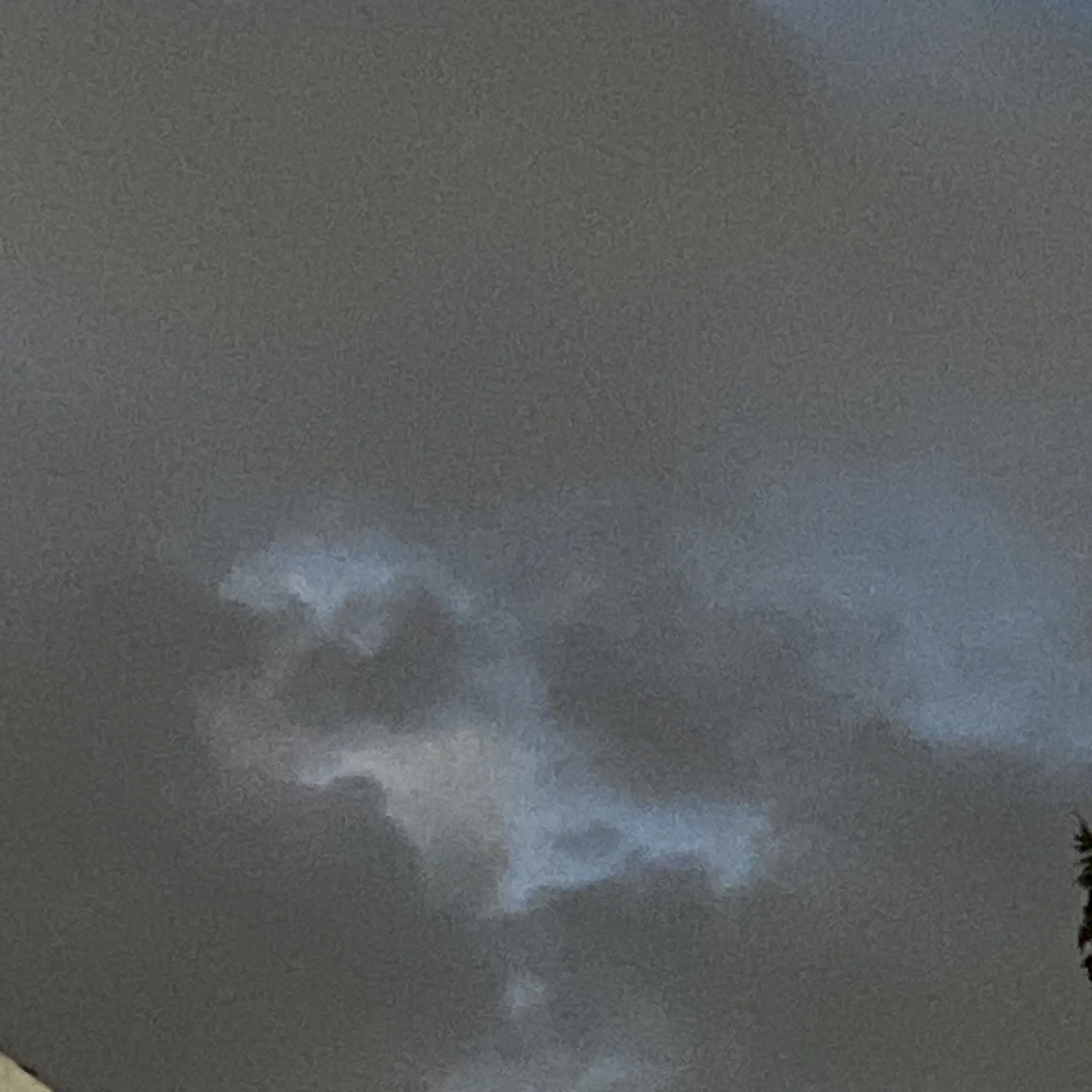 GlassCoin7846의 빠샤,잭이랑 테모랑 대저택 생활하기!