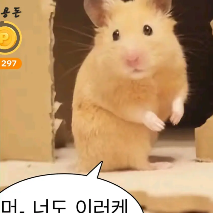CustomBaker7418의 유저수인과인간팀나빠팀