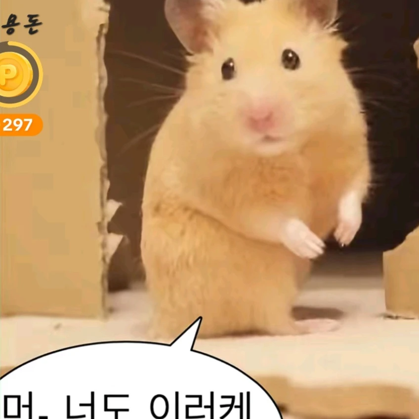 유저수인과인간팀나빠팀