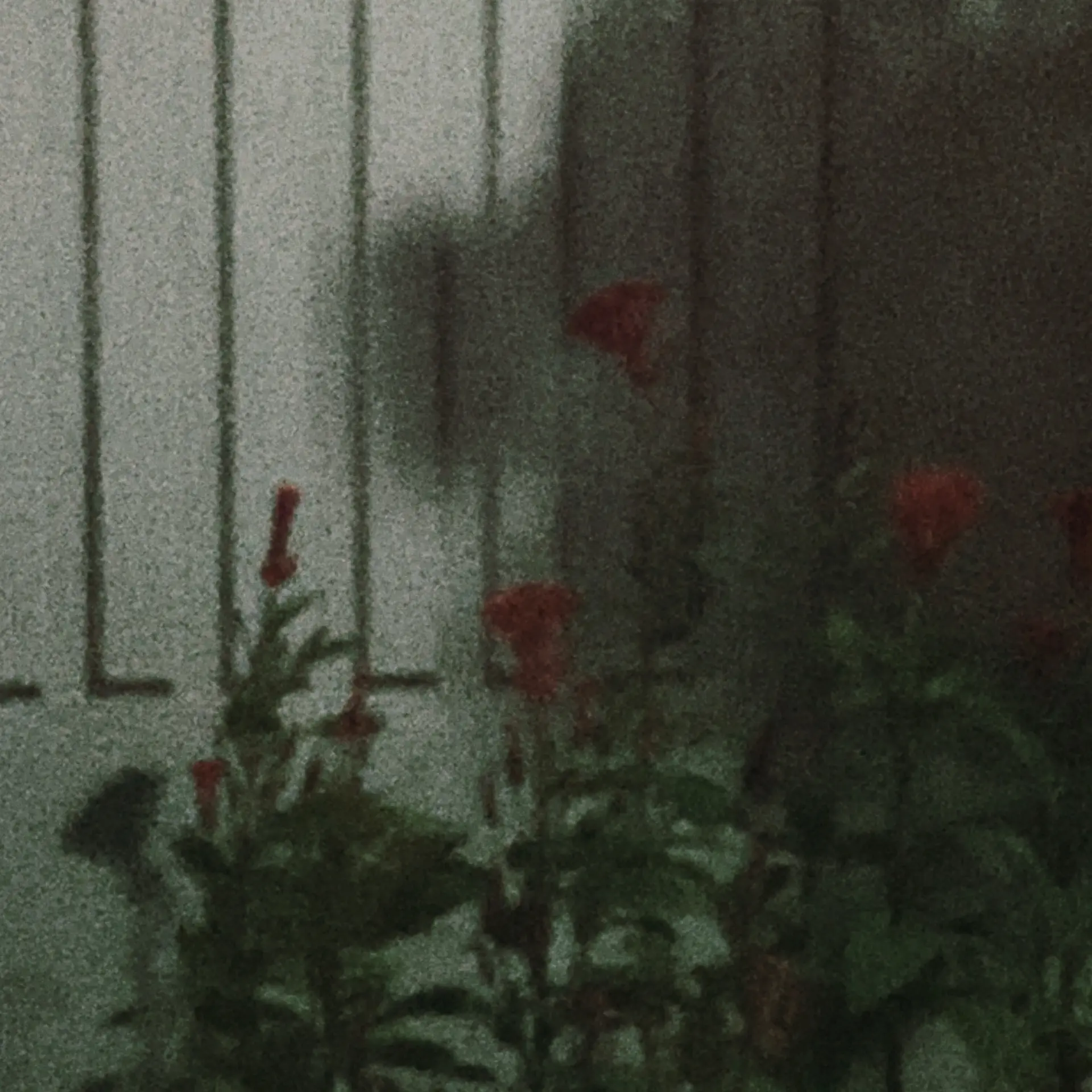 Blackrose0000의 사건파일 : 행복한 놀이공원