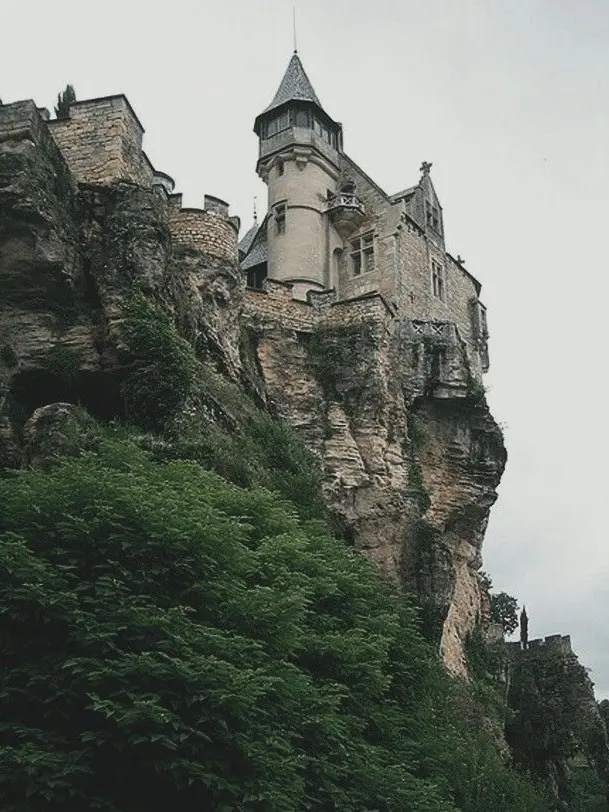 Zeezabradaba18의 The Knight and his Princess