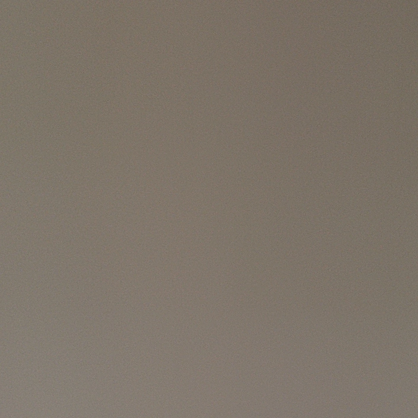 다크카카오 쿠키