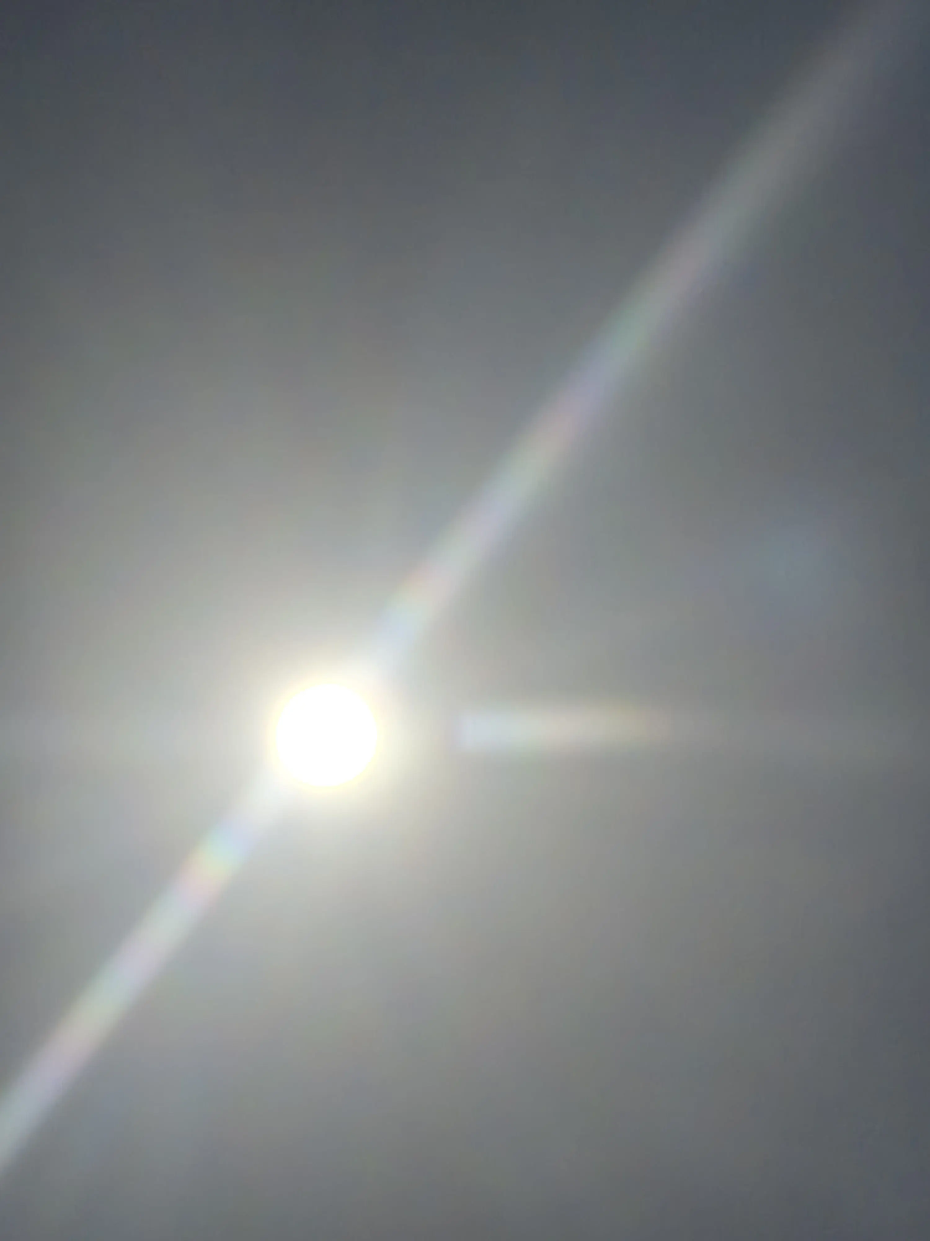 PastelFossa8142의 여우에게속은 주들!! 오해를 풀자!