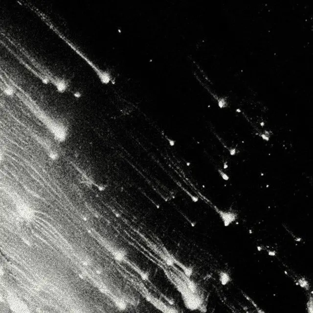 lansewol_의 김태오