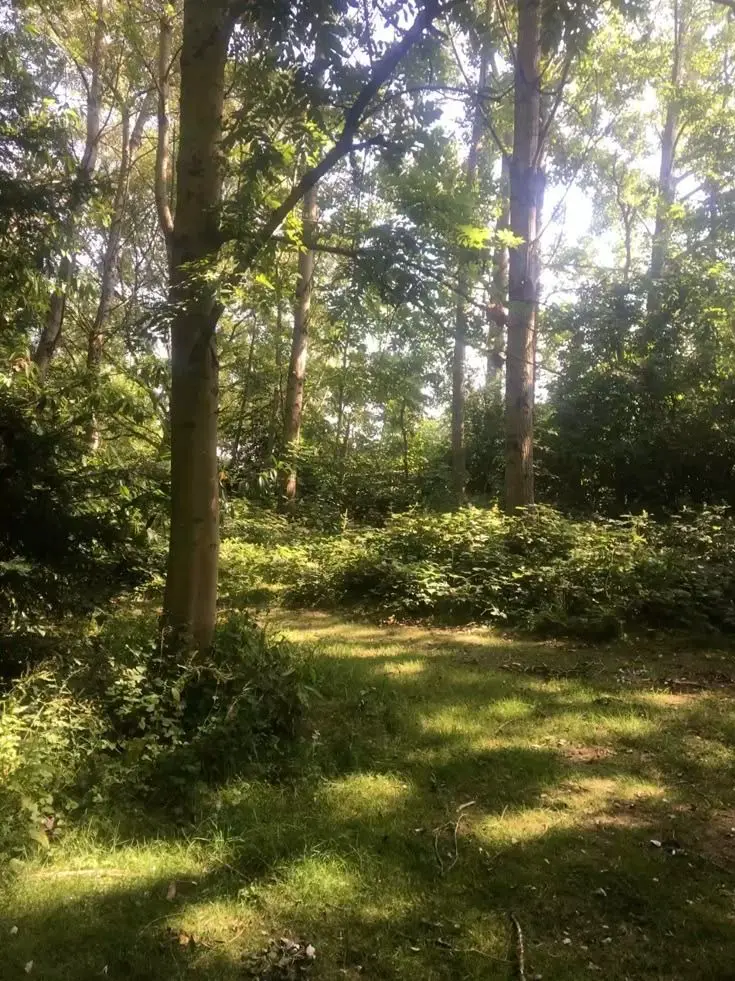 loveHaikyu의 오랜만인데 웃어줘!