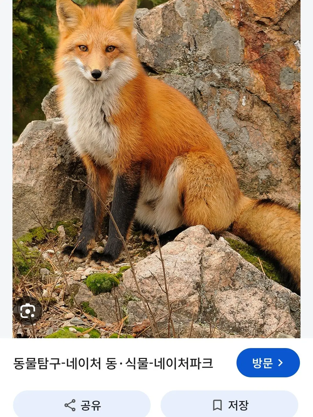 Naraina의 레드라이너-초능력