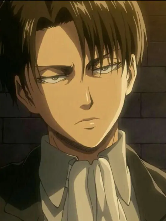 Seo_yeon.1018의 리바이 아커만