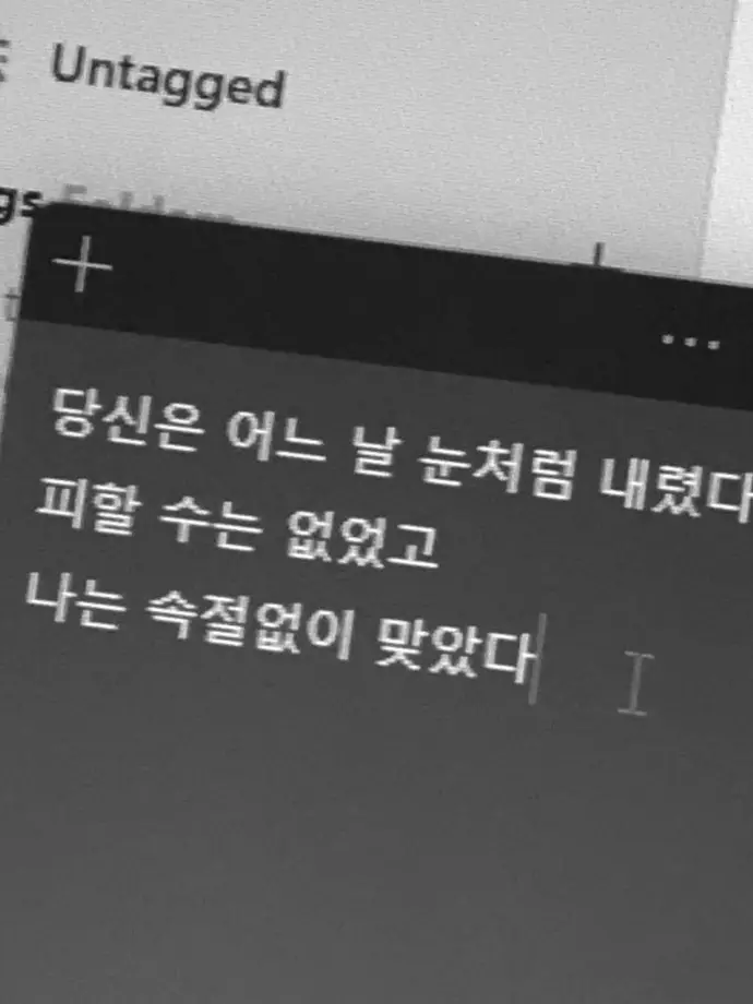 Spoke의 해바라기 같던 나와 너