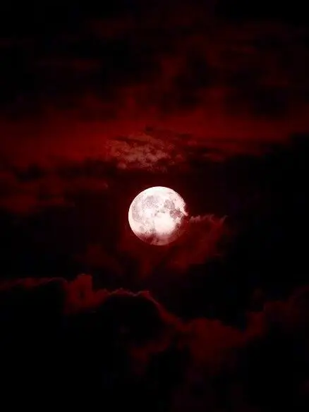 Hi_na3의 낙원 뱀파이어