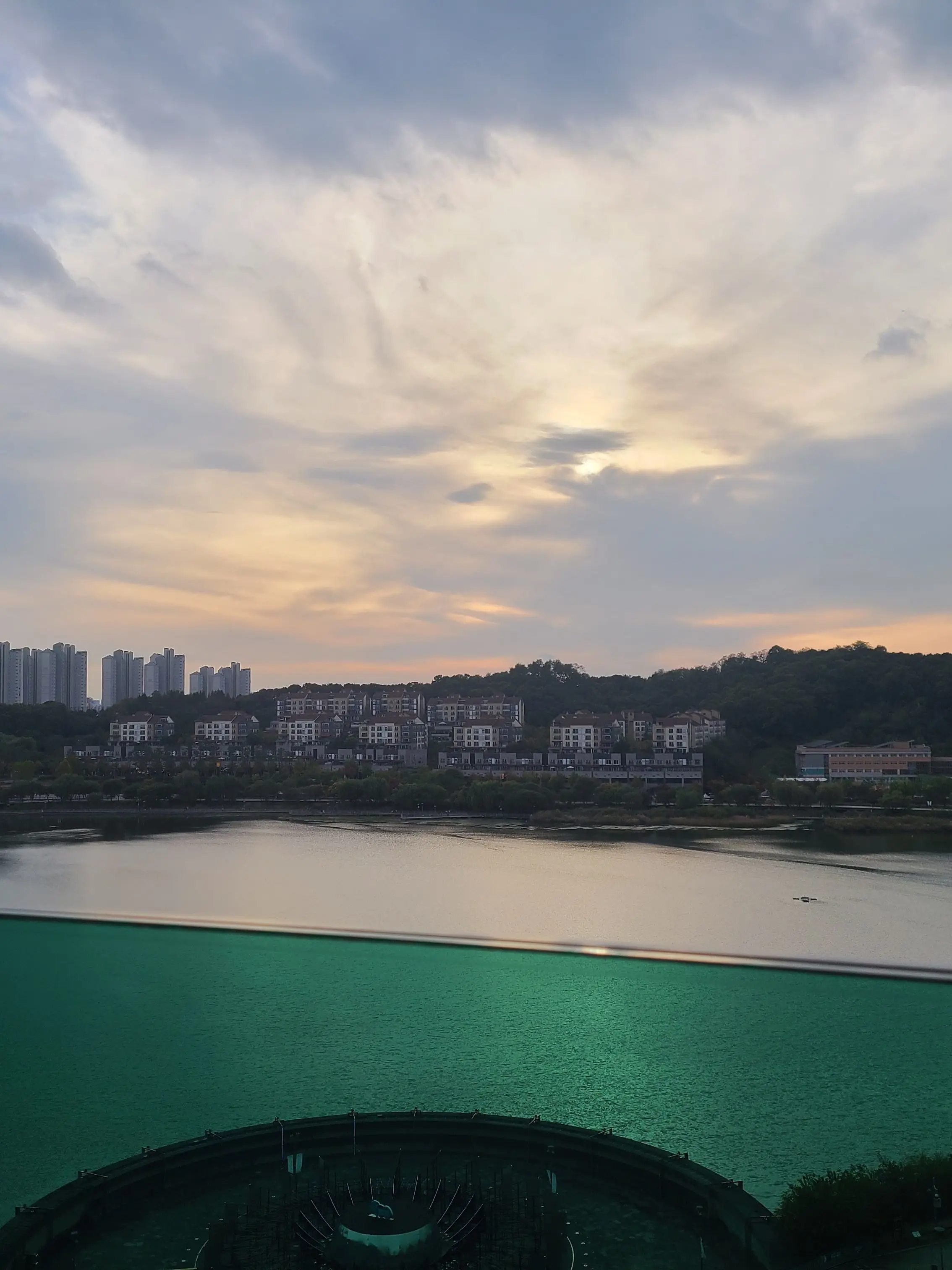 PoliteClam5274의 유기.