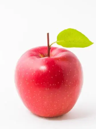 ClassyPurse4457의 <마플>