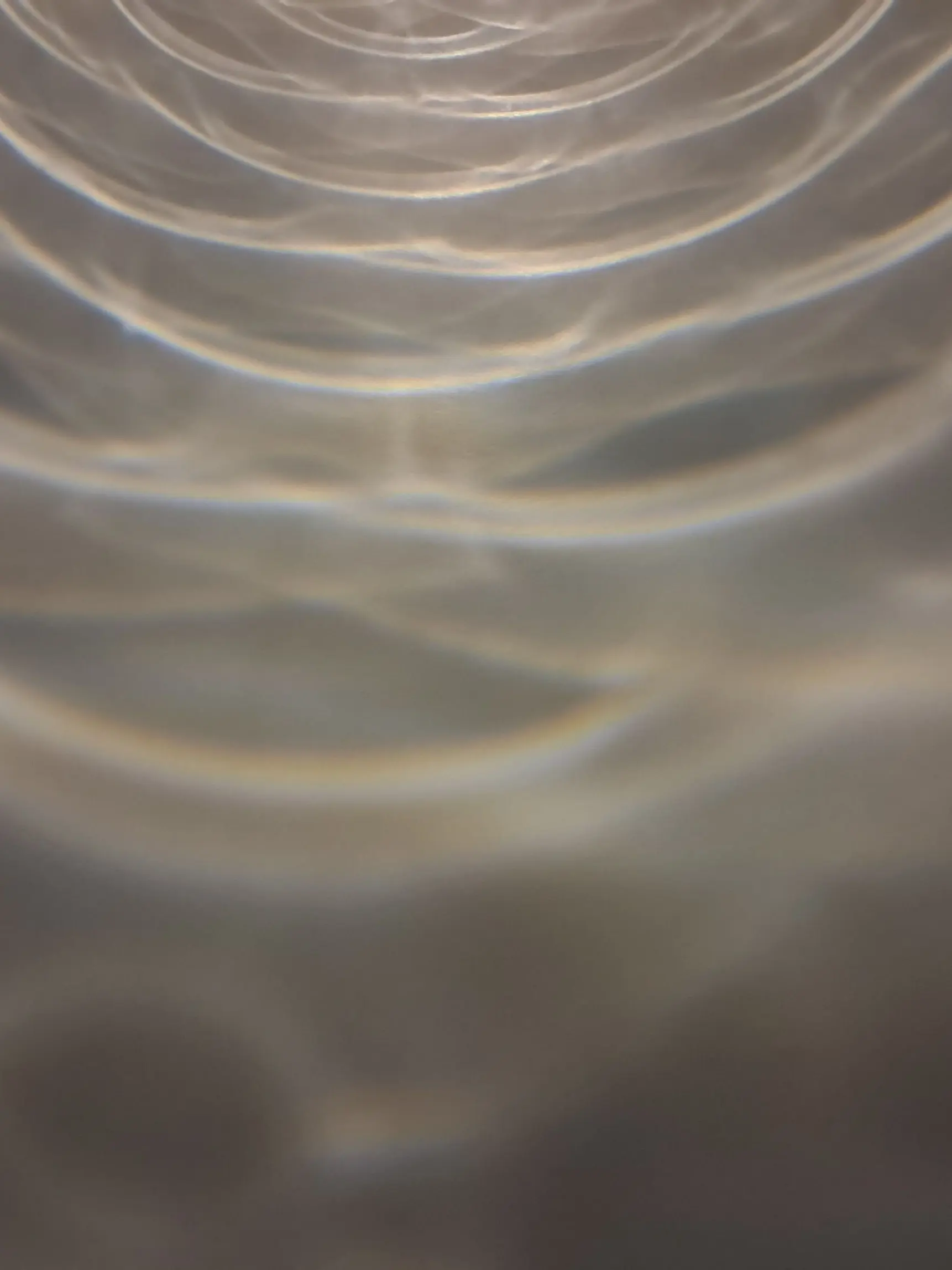 NiceGirl0420의 은기대 고양이를 만지다가 들켰다...