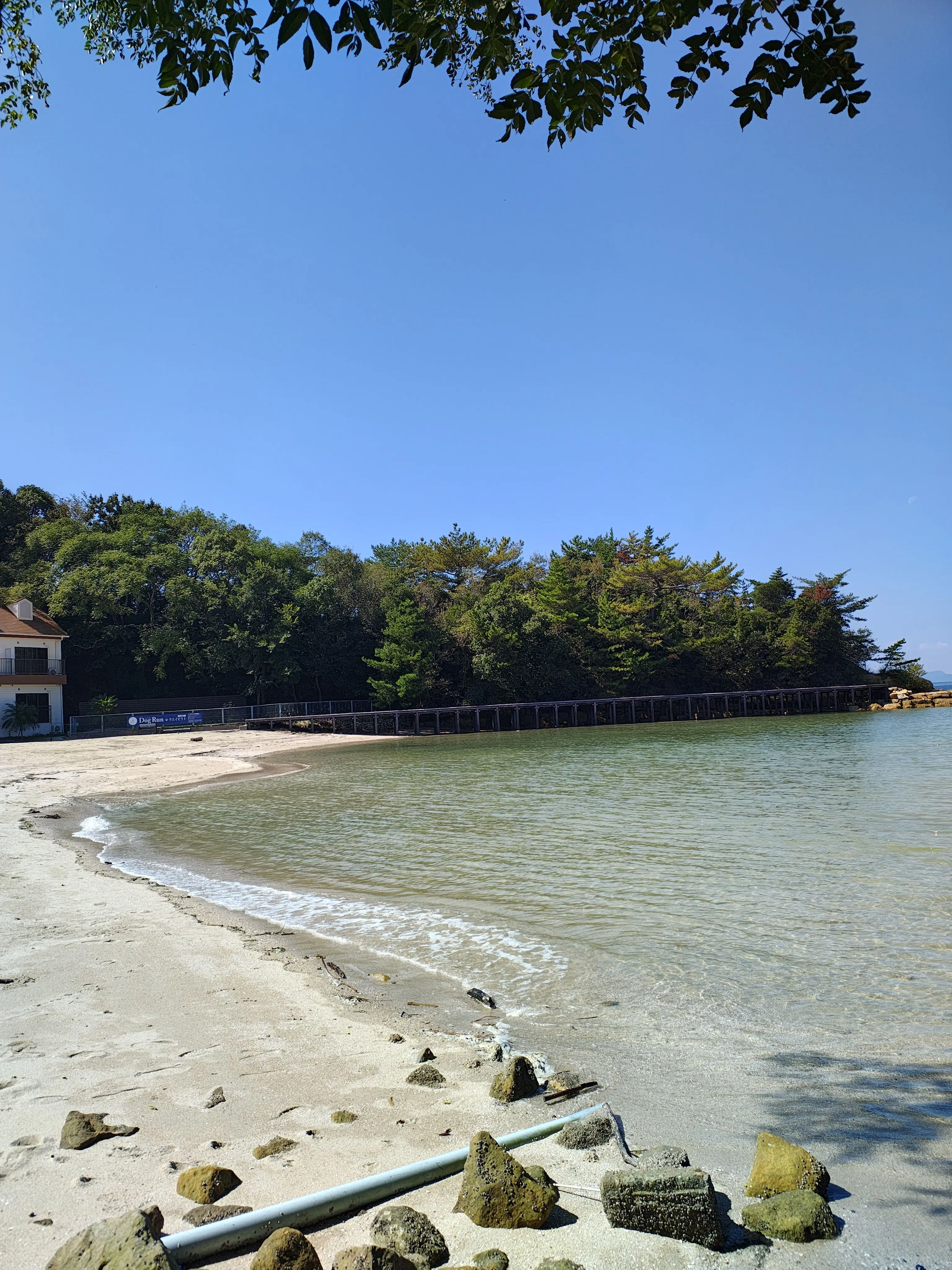 SmallBrick0189의 此奴等！