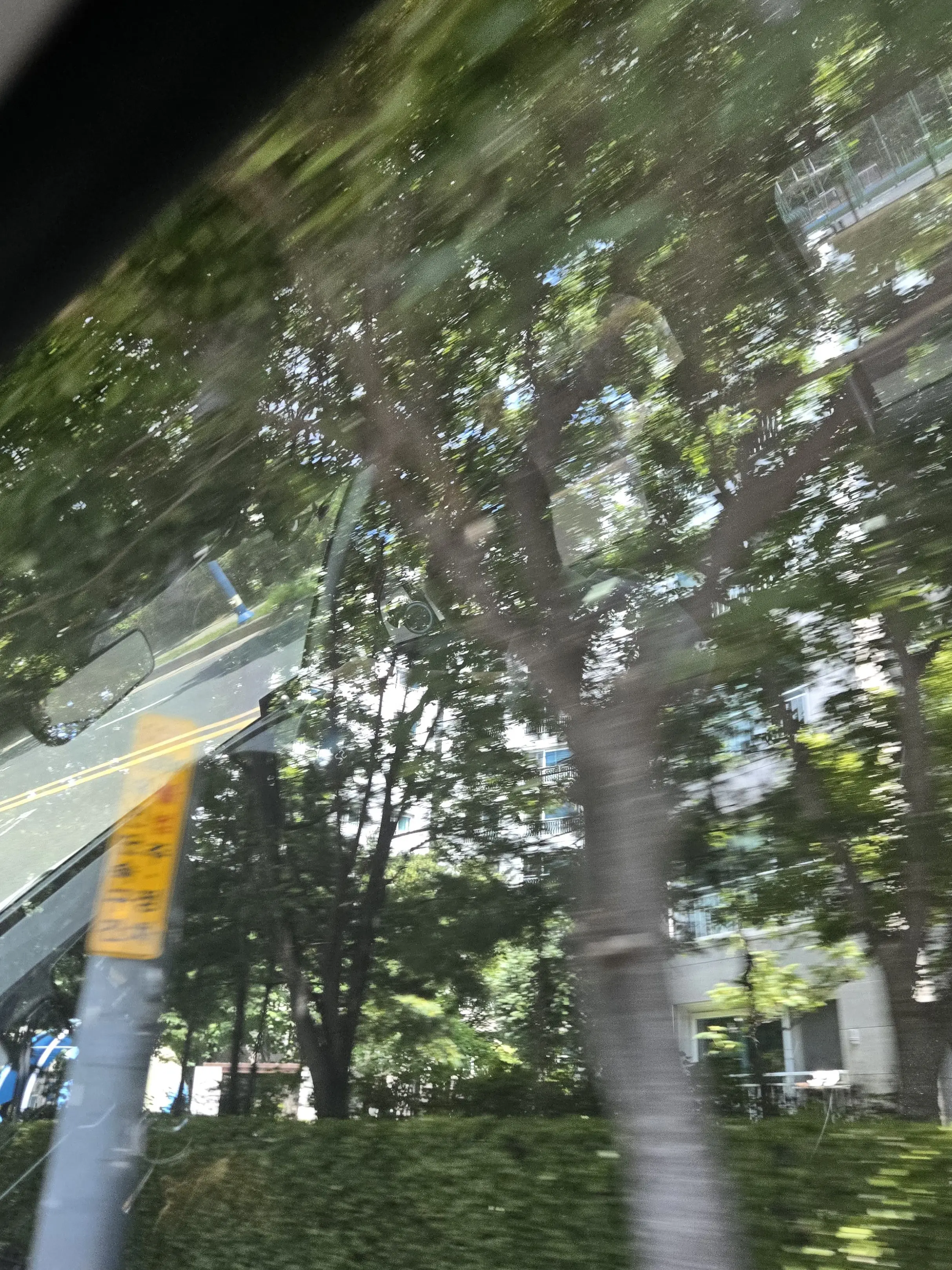 yangochizz의 신입생? 환영해요.[gl]
